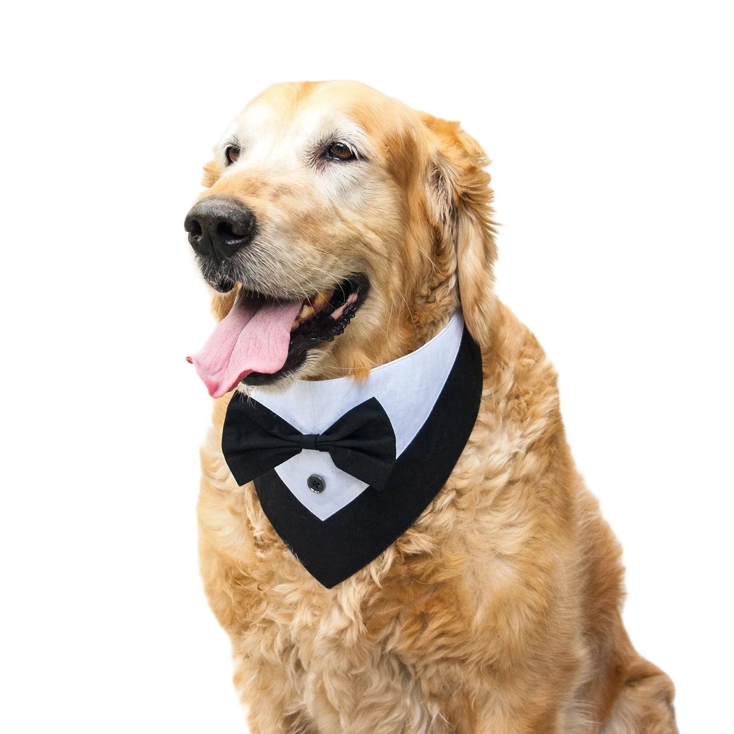 Tuxedo bandana-1