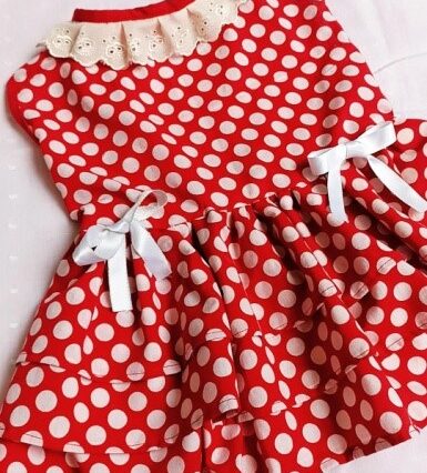 Casual Dresses for Female