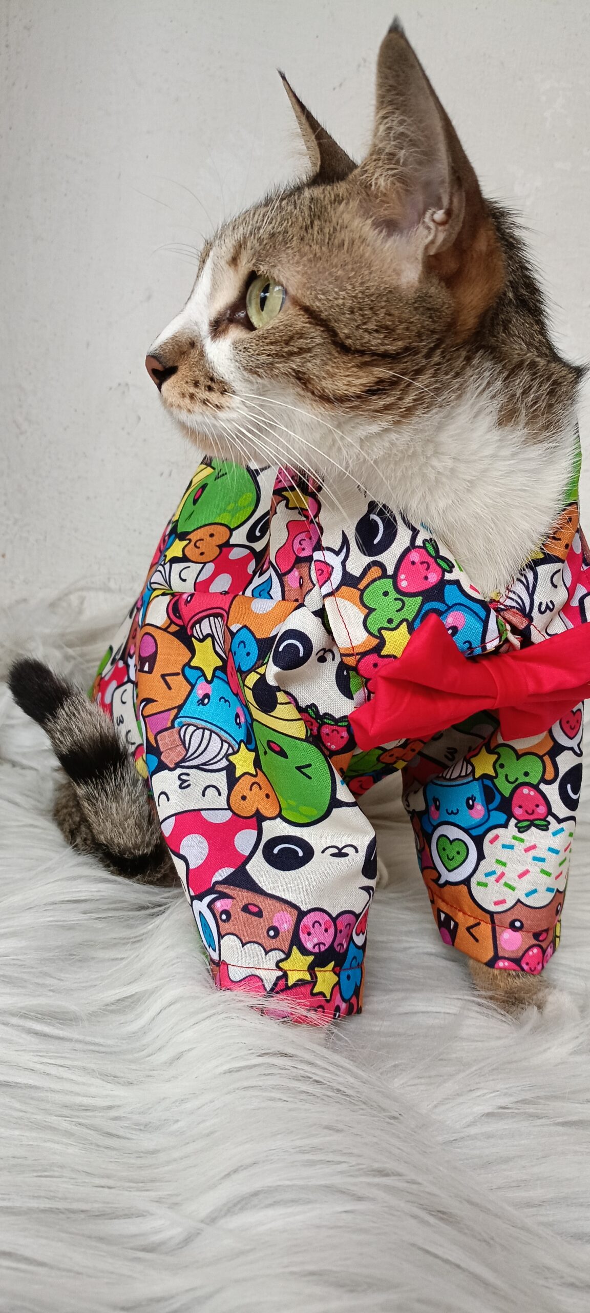 IMG20240106161954_085054